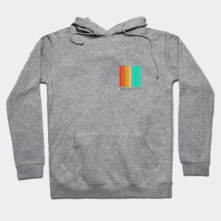 Color Block IVA Spirit Wear (Front & Back version) Hoodie